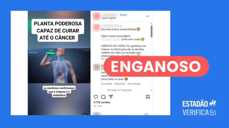 Vídeo engana ao atribuir benefícios sem comprovação científica ao orégano