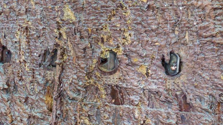 O vidro de uma escotilha pode ter se quebrado ao raspar no iceberg