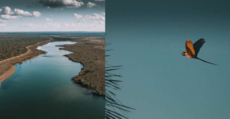 5 motivos para visitar o cerrado brasileiro