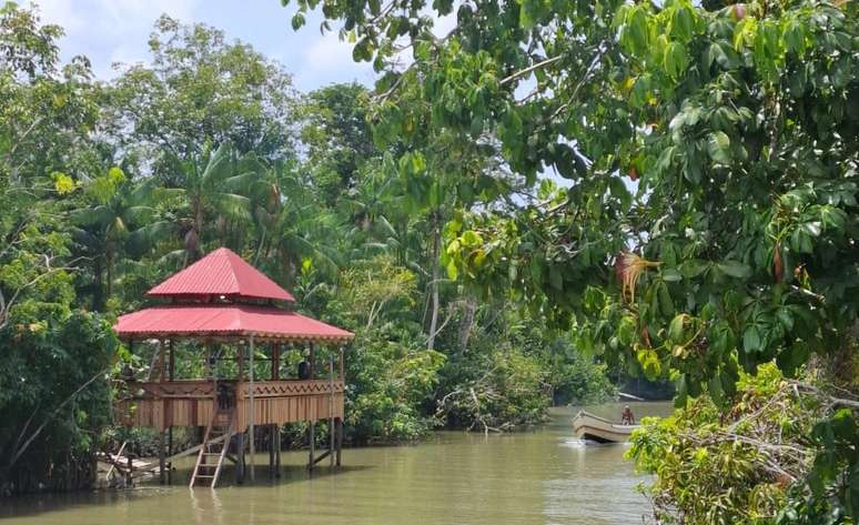 Ilha do Combú, famosa pelos restaurantes e pela floresta, onde pessoas com tempo e dinheiro passeiam de jet ski.