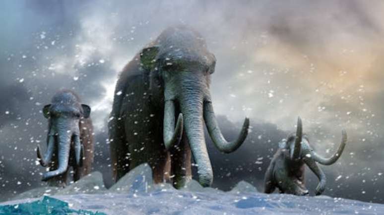 Ilustração de mamutes-lanosos, animais que já povoaram grandes áreas da Sibéria Denis-S / Shutterstock