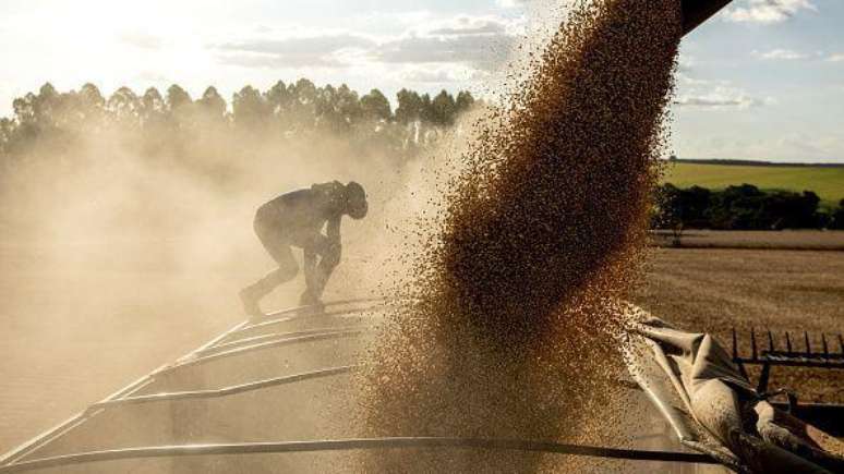 Importação da soja brasileira para o mercado chinês tem crescido nos últimos anos