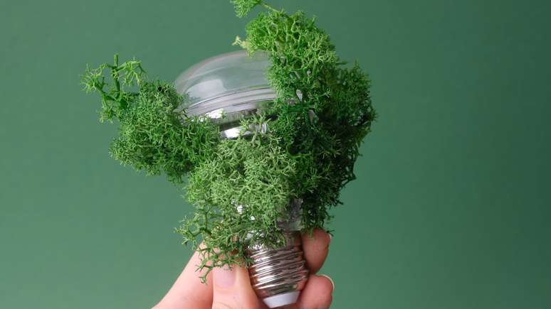 De acordo com um relatório, no ano de 2024, 40% da demanda mundial de eletricidade foi atendida por fontes de energia limpa; entenda