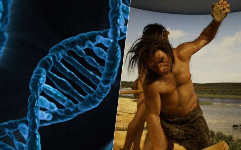 We have just discovered that 20% of our DNA comes from an unknown hominid population: population b