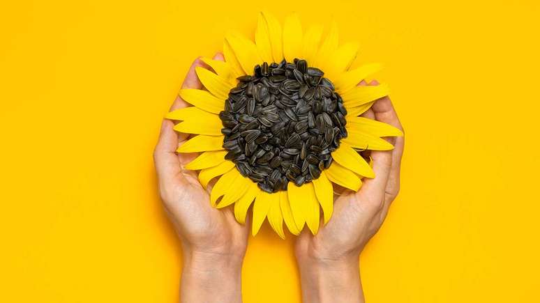 É do signo de Fogo? Tenha essas ervas com você