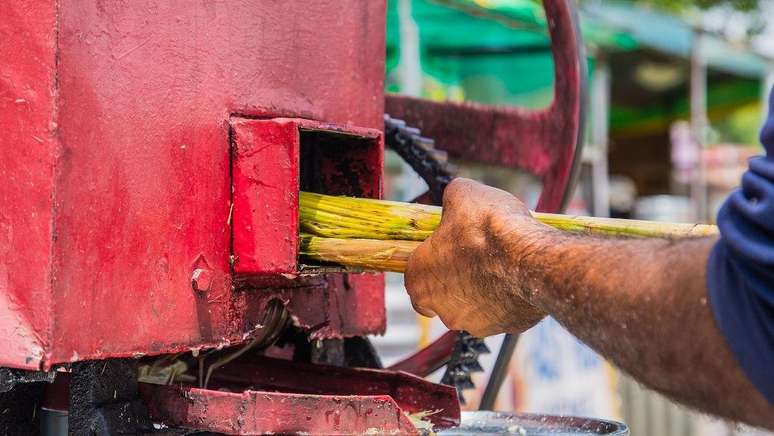 Cana com mais bagaço é mais dura e mais difícil de ser processada
