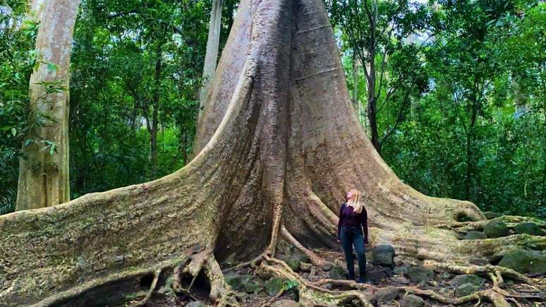 Annie foi a um tour guiado no Parque Nacional Cat Tien na manhã em que ela foi assediada