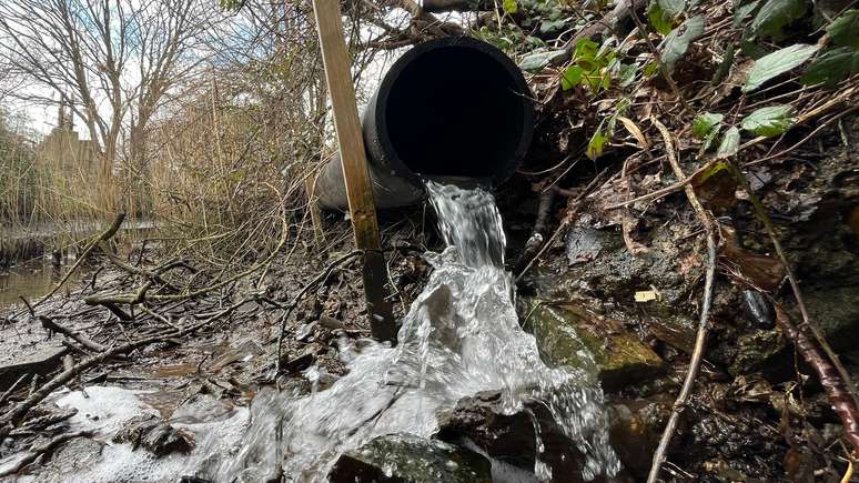 A água com baixo teor de carbono do projeto SeaCURE é despejada em um riacho a uma curta distância do mar