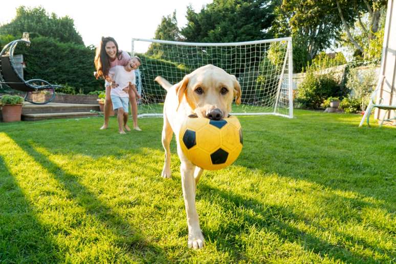 The names of the consecrated players combine with pets full of energy and attitude The names of the consecrated players combine with pets full of energy and attitude