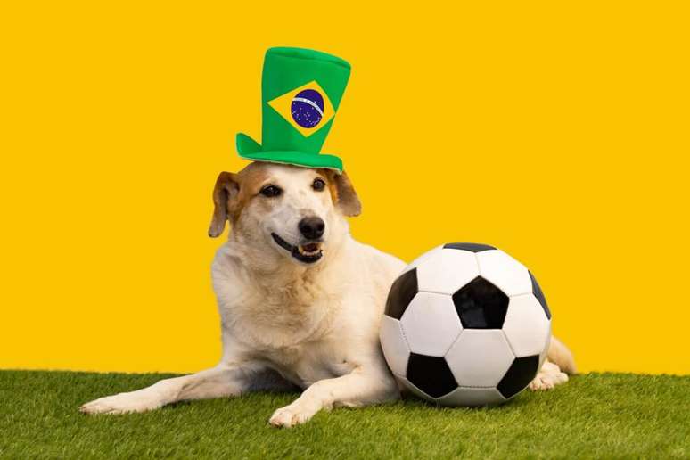12 names of dog players for dog