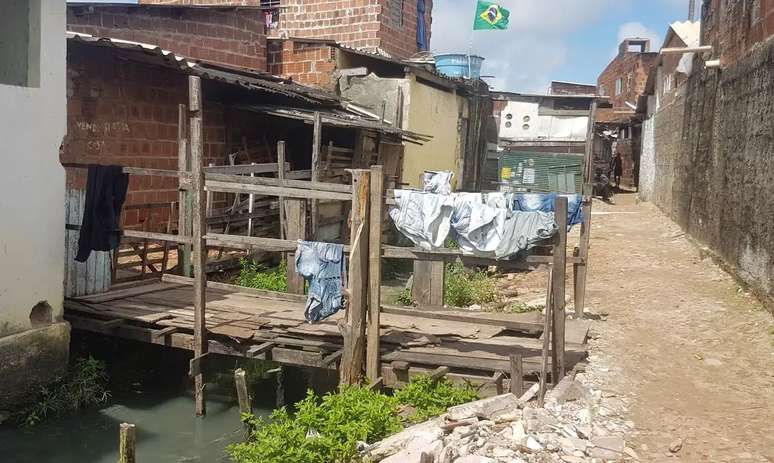 Favela de Santo Amaro, no Recife, tem construções precárias sobre palafitas, mas projeto literário constrói pontes literárias.