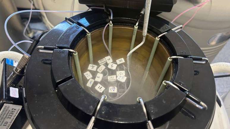 O PGT é um tipo de fertilização in vitro que inclui o teste de embriões para determinar a presença de uma condição genética específica