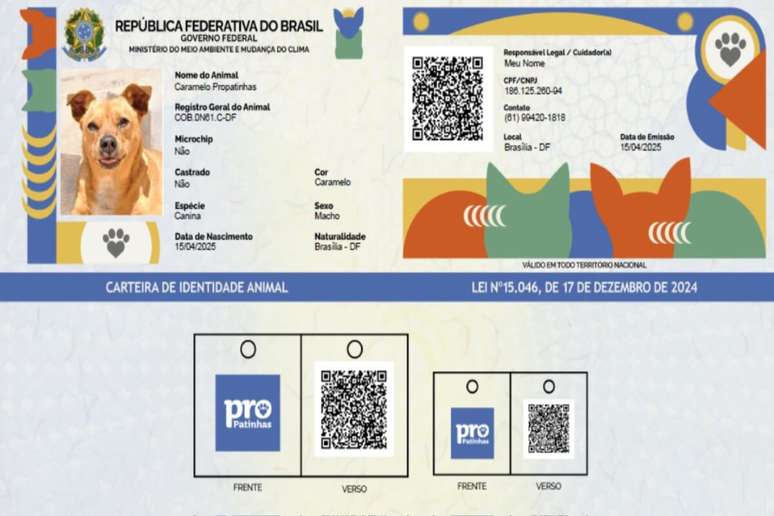 O RG Animal facilita a identificação de cães e gatos
