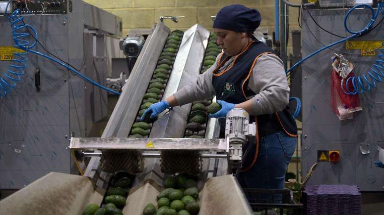 As tarifas tem como objetivo proteger setores produtivos específicos mas, com frequência, acabam prejudicam a economia em geral