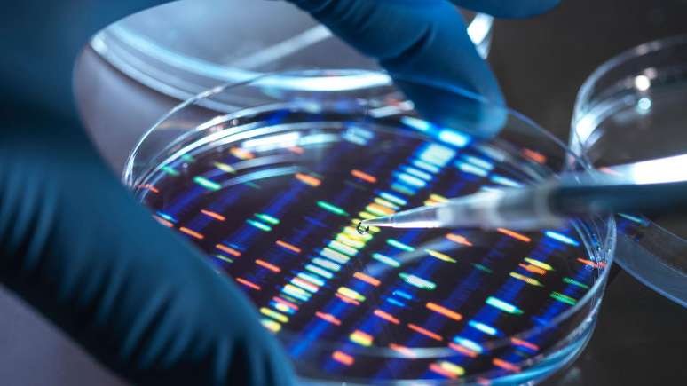 A genética desmantelou no início do século 20 o conceito biológico de raça