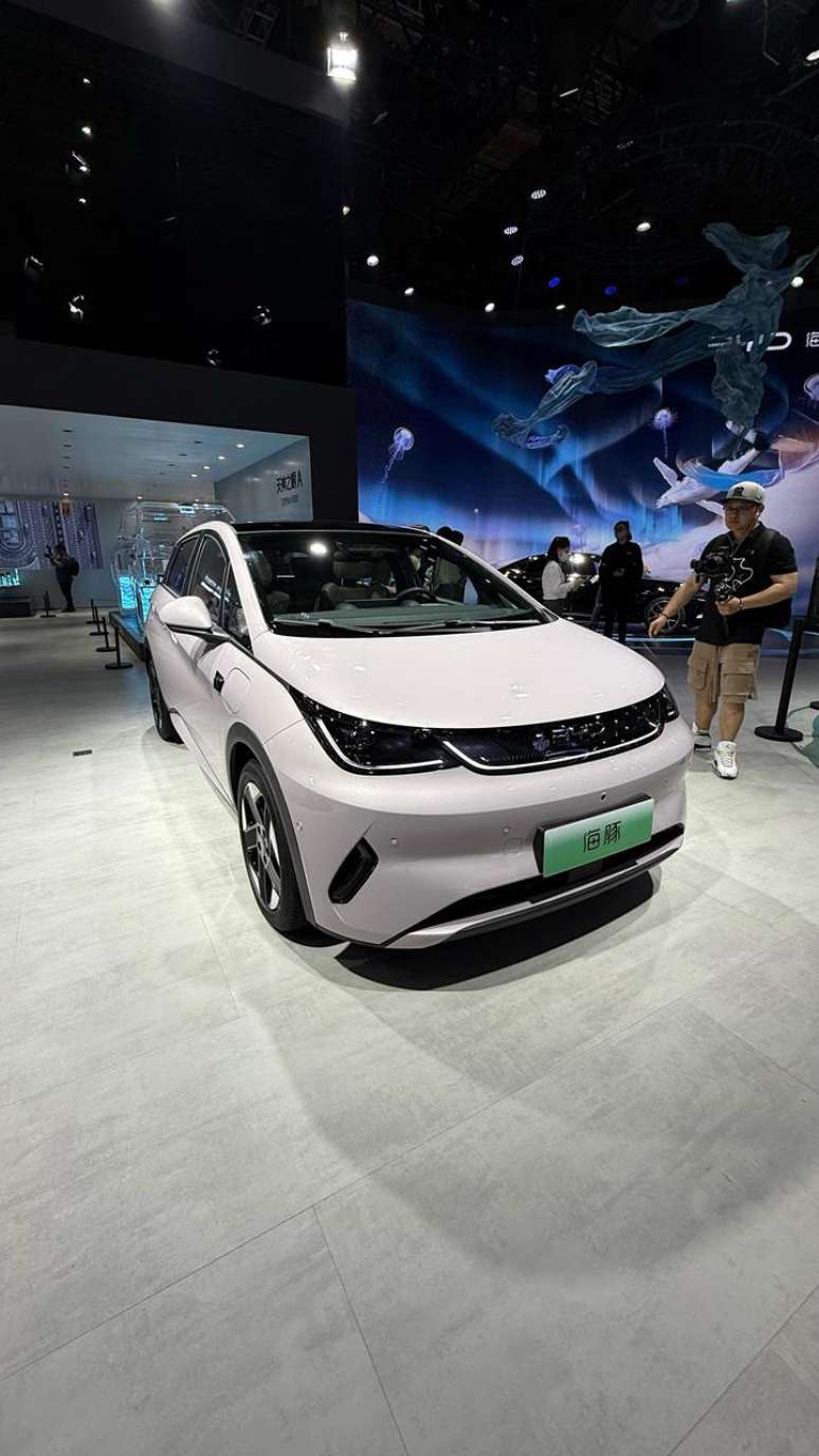 BYD Dolphin reestilizado