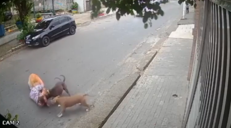 Grávida cai ao proteger cão de ataque em SP