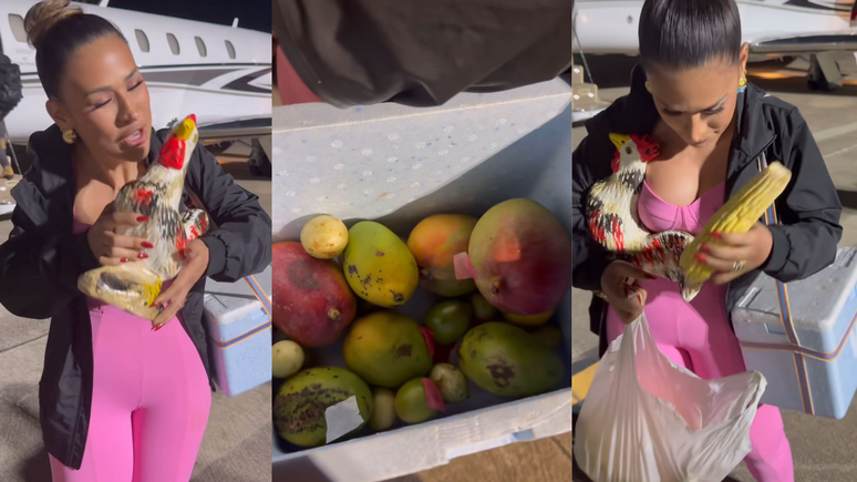 Stories da cantora Simone Mendes com seus presentes