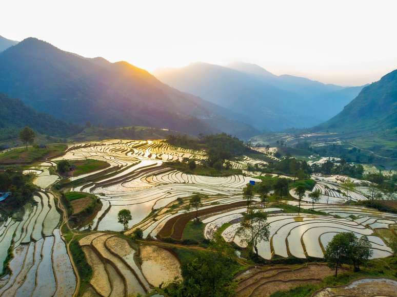 O ars&ecirc;nio no arroz pode aumentar &agrave; medida que os n&iacute;veis de CO₂ e as temperaturas continuam a subir