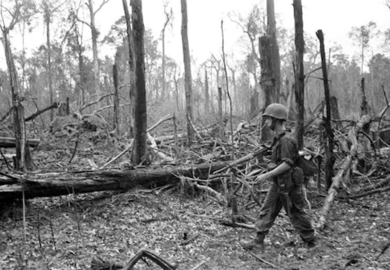 Durante a Guerra do Vietnã, os EUA bombardearam e desfolharam vastas áreas de florestas e manguezais protetores. AP Photo