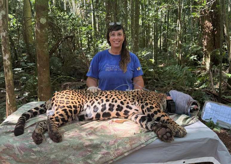 Bhuaigh an bitheolaí Yara Barros, Dé Céadaoin, 30, 'Green Oscar' as a cuid oibre Jaguar