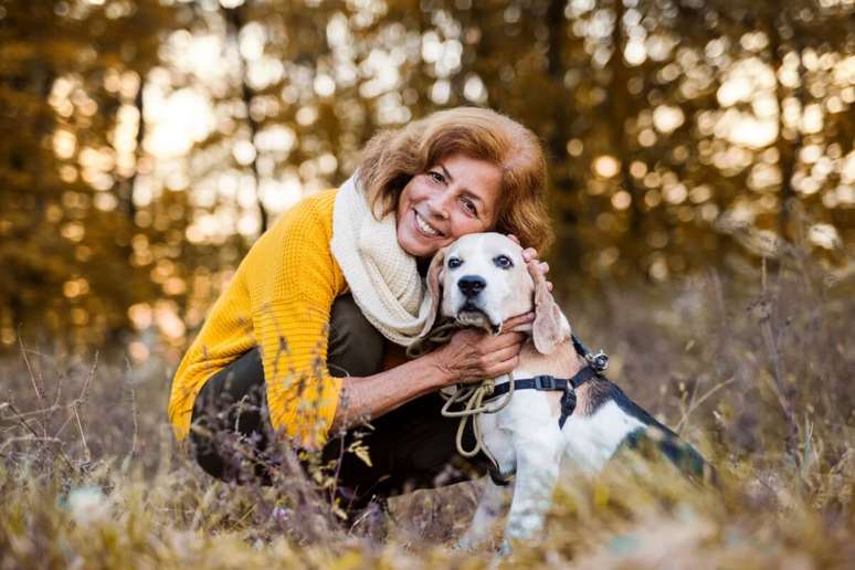 O passeio é fundamental para preservar a qualidade de vida dos cachorros idosos