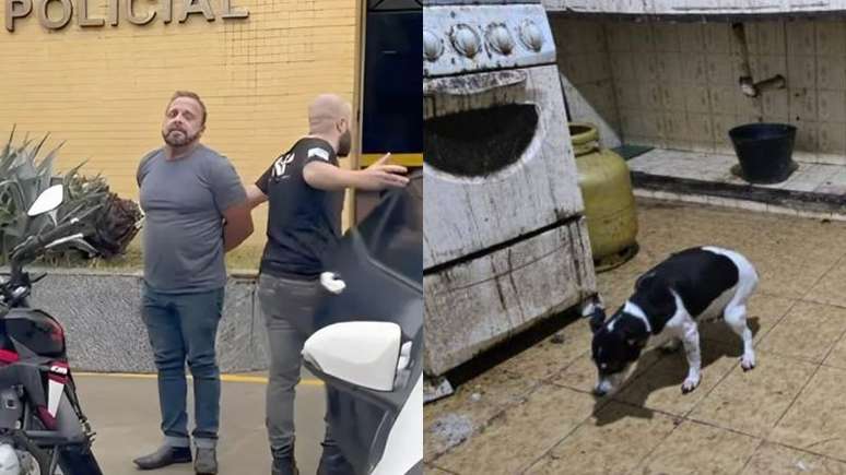 O cardiologista Walter Rau da Silva Vieira foi preso em flagrante por armazenar cães mortos no freezer