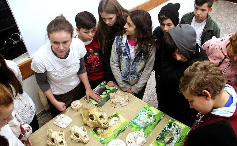 "O projeto usa uma linguagem emocional que busca conectar as pessoas com as on&ccedil;as e o Parque Nacional"