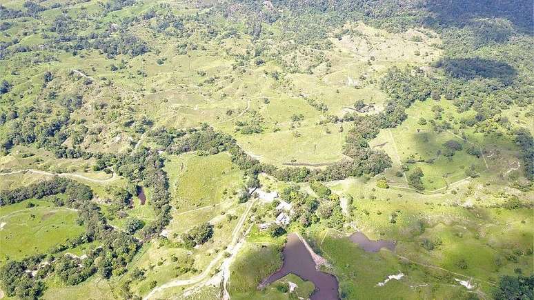 A Funda&ccedil;&atilde;o Proyecto Primates est&aacute; "entrela&ccedil;ando florestas" para conectar fragmentos de habitat