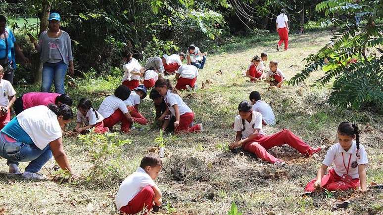 Crian&ccedil;as de comunidades locais tamb&eacute;m ajudam a "tecer florestas"