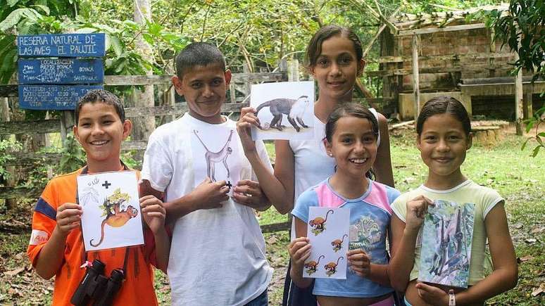 "Eu convidaria as pessoas a se apaixonarem pelo mundo natural novamente", diz Link