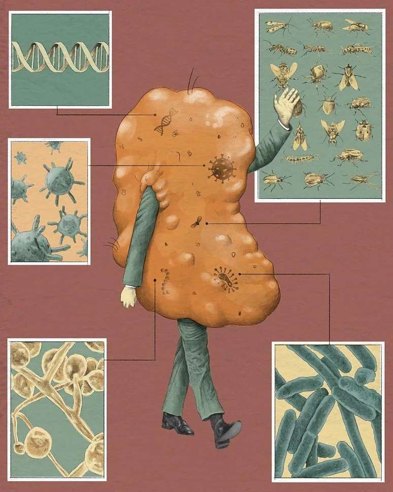 Uma das fun&ccedil;&otilde;es da cera do ouvido &eacute; impedir a entrada de fungos e bact&eacute;rias, al&eacute;m de insetos