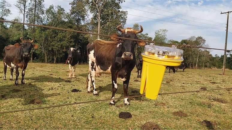 Luzes piscam aleatoriamente para simular a presen&ccedil;a humana e afastar predadores