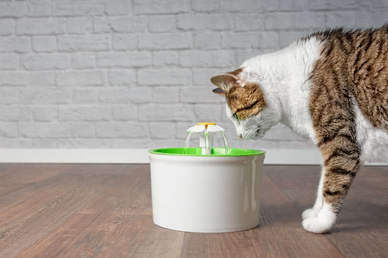 Some drink fountains are activated with movement sensor 