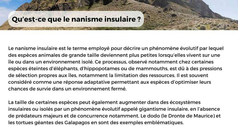 Fourni par l'auteur