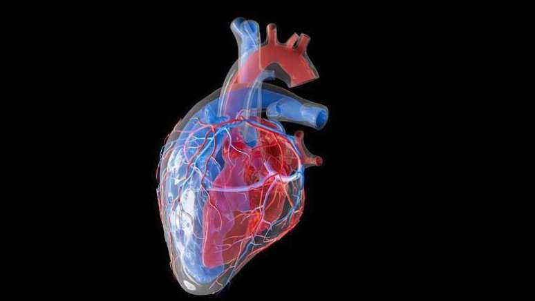 A arritmia &eacute; caracterizada pela falta de compasso nas batidas do cora&ccedil;&atilde;o