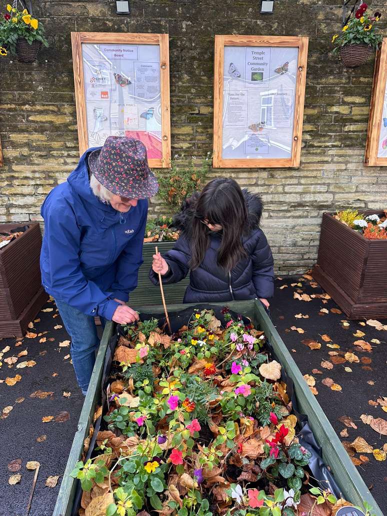 Estudos mostram que "sujar as m&atilde;os" e interagir com outras pessoas em jardins comunit&aacute;rios traz satisfa&ccedil;&atilde;o pessoal