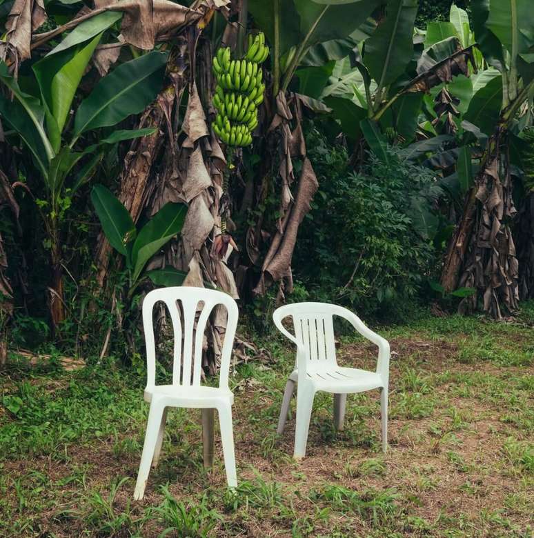 Capa do &aacute;lbum "Deb&iacute; Tirar M&aacute;s Fotos" do Bad Bunny