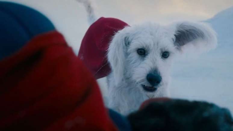 Krypto, o Superc&atilde;o estar&aacute; no novo 'Superman'