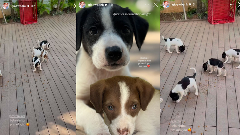 Stories da influenciadora Giovanna Ewbank