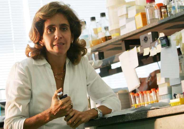 “In the future, we will have medicines for specific groups”, says the Brazilian geneticist “In the future, we will have medicines for specific groups”, says the Brazilian geneticist