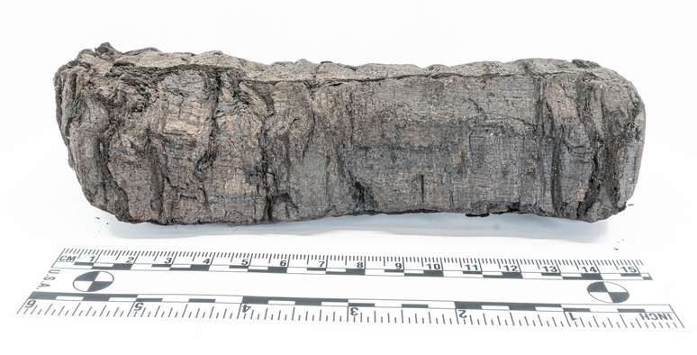 Pergaminho carbonizado após contato com erupção do Vesúvio
