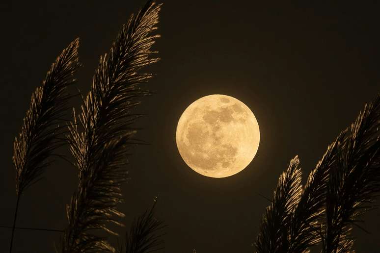 Full moon and good news for love: the forecasts of the week from 11 to 17/05 Full moon and good news for love: the forecasts of the week from 11 to 17/05