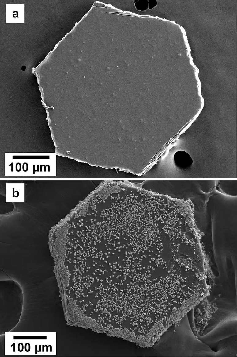 Imagens em alta resolução de microscópio eletrônico do glitter: (a) liso e intacto, e (b) cinco minutos após a exposição a condições semelhantes à água do mar