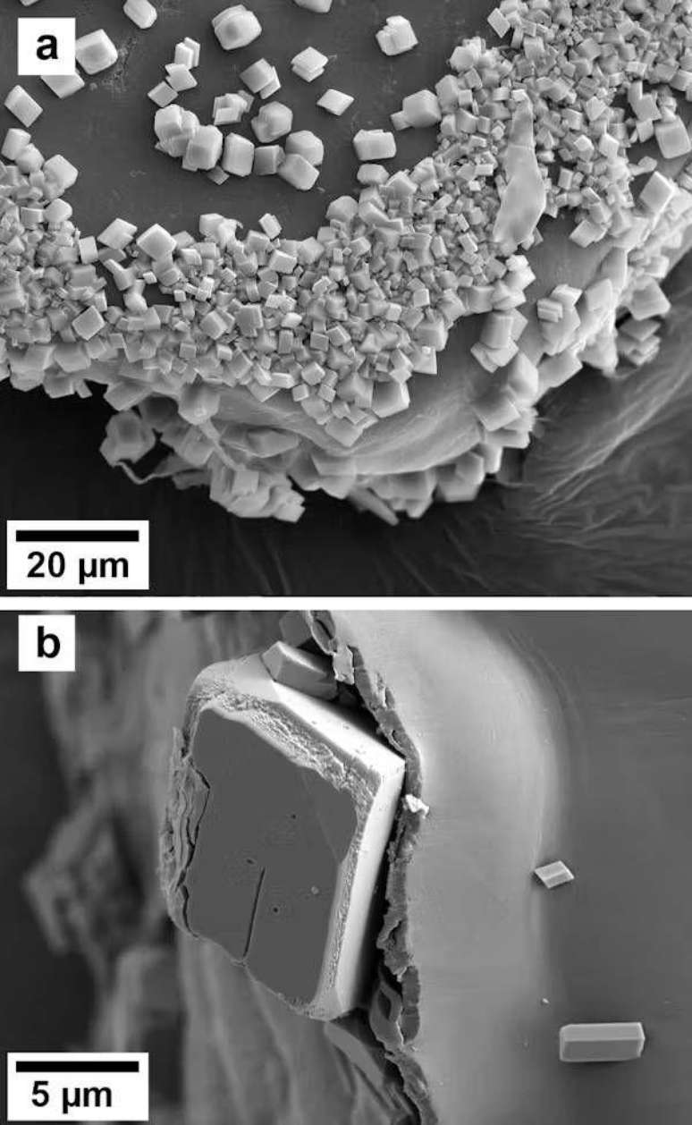 Imagens em alta resolução de microscopia eletrônica de (a) o canto de uma partícula de glitter, onde rachaduras e imperfeições na superfície promoveram a formação de cristais de calcita, e (b) um mineral chamado calcita começando a se soltar e a desestabilizar a estrutura em camadas do microplástico