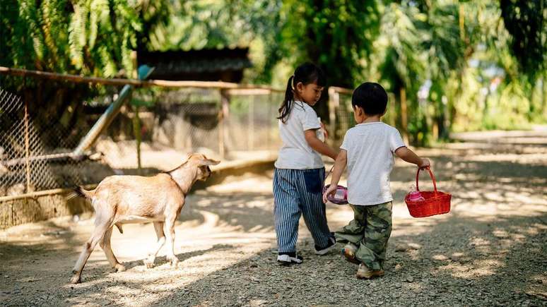 Children who grow up in farms and around are less likely to develop allergies than those who grow in cities Children who grow up in farms and around are less likely to develop allergies than those who grow in cities
