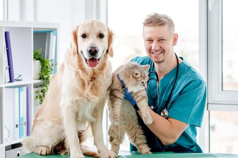 6 reasons to keep animal control updated