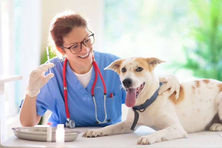 Routine consultations help to keep the vaccination calendar updated Routine consultations help to keep the vaccination calendar updated