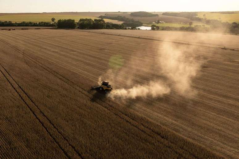Brasil é considerado o "celeiro do mundo": país produz alimentos suficientes para necessidades calóricas de aproximadamente 900 milhões de pessoas