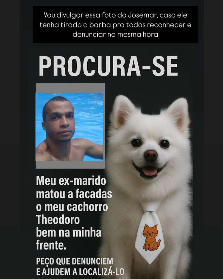 Mulher denuncia ex-companheiro por matar cachorro de estimação a facadas